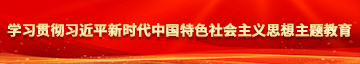 美女艹bb学习贯彻习近平新时代中国特色社会主义思想主题教育